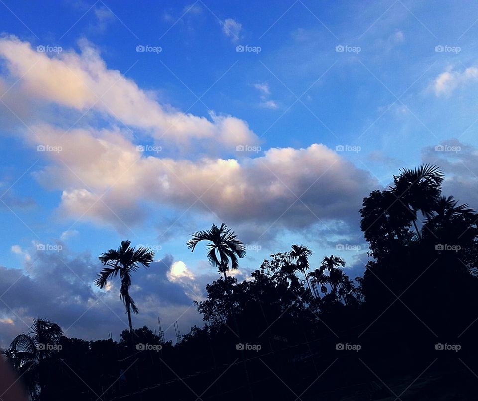 Blue sky with brown cloudey sky and black colour tree.