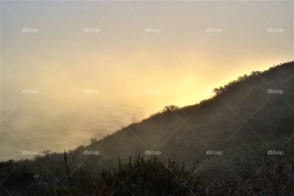 pacific coast highway, foggy evening 