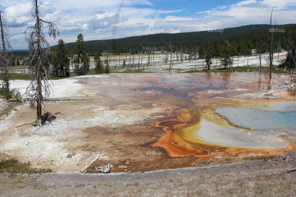Marble-like smooth red water coming from a bubbling pool in Yellowstone.