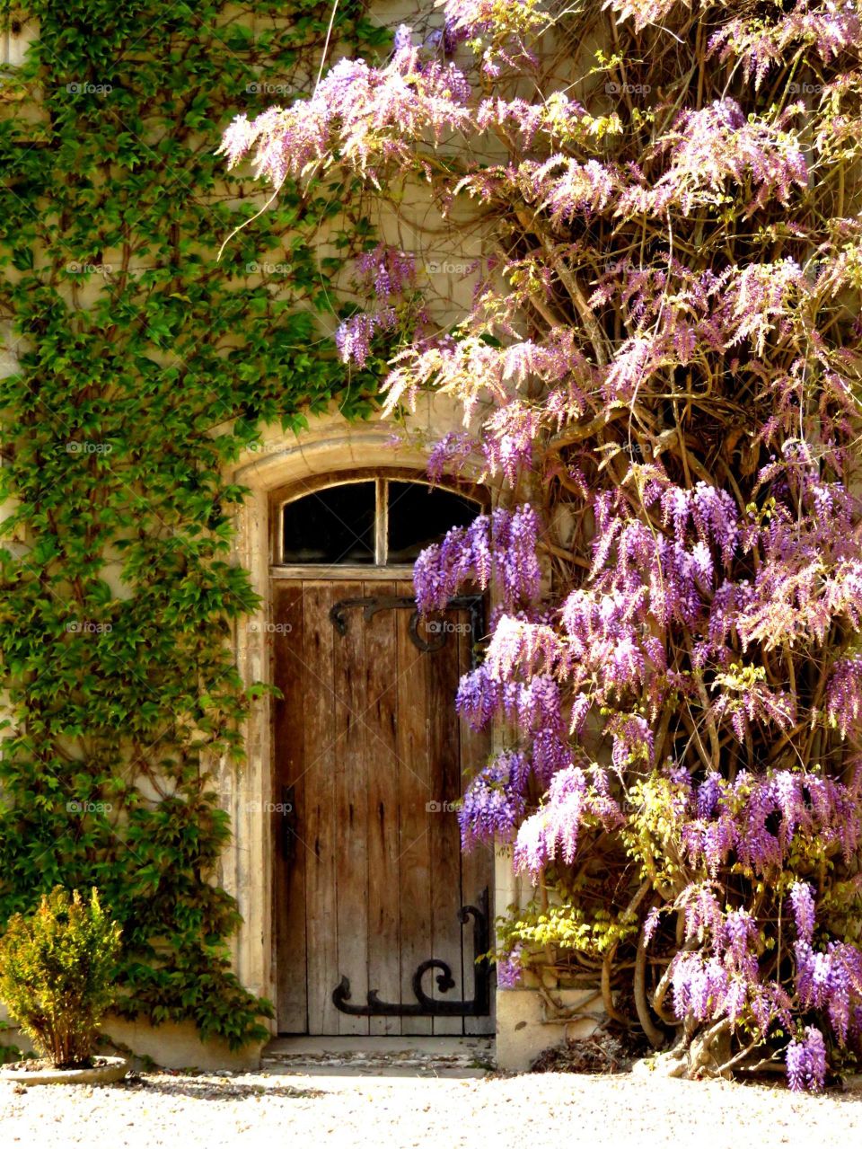 beautiful door