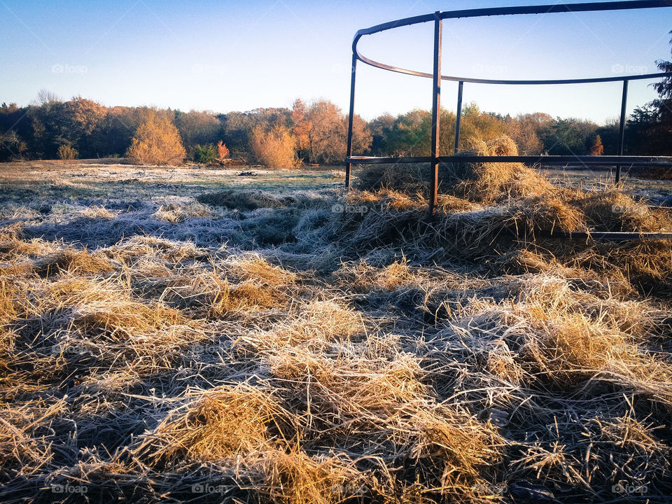 Frosty Hay Winter is Coming