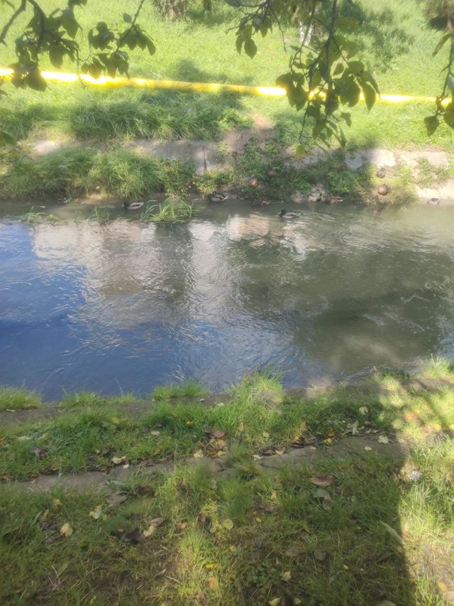 beautiful day