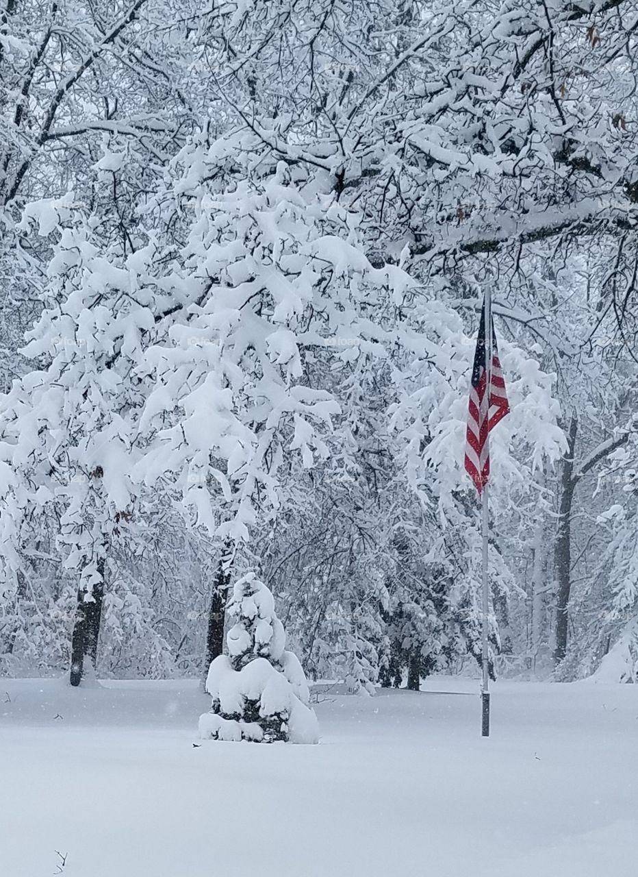winter in spring
historic spring snow
Michigan
American flag
flag pole
calm after the storm