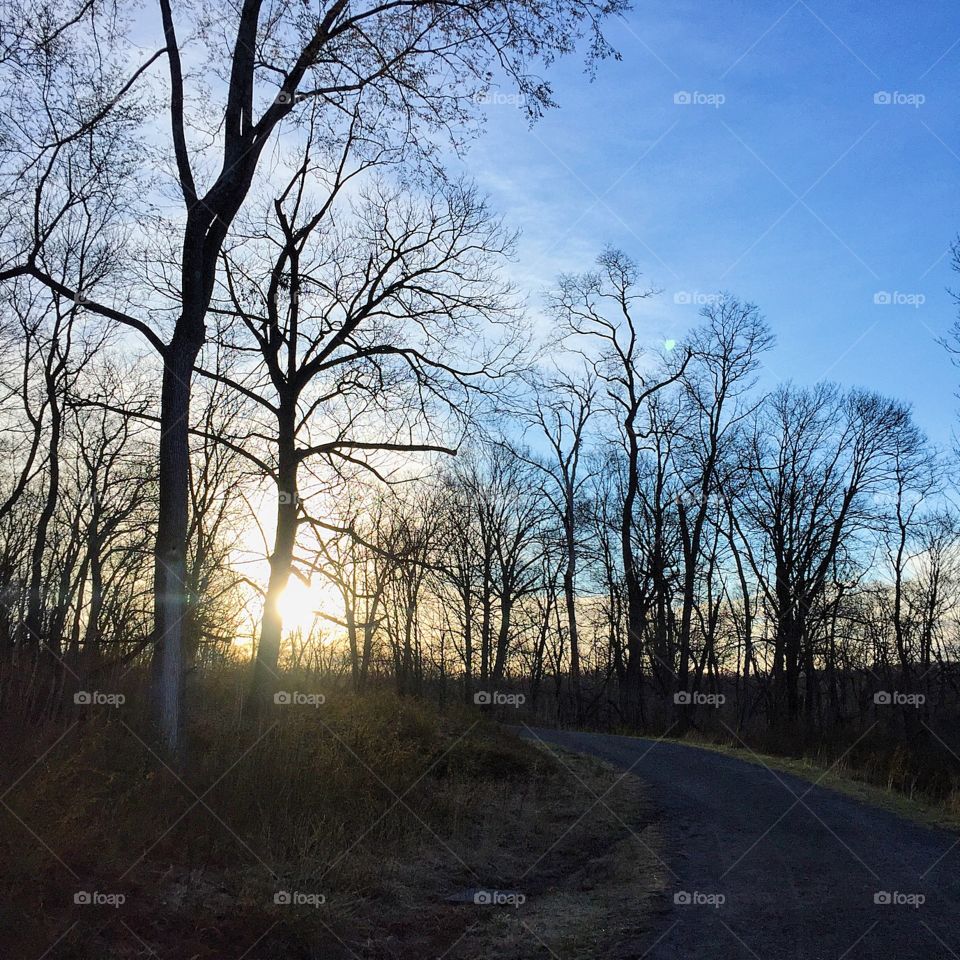 "The healthiest response to life is joy." ~ Deepak Chopra. I find happiness in my early morning runs. 