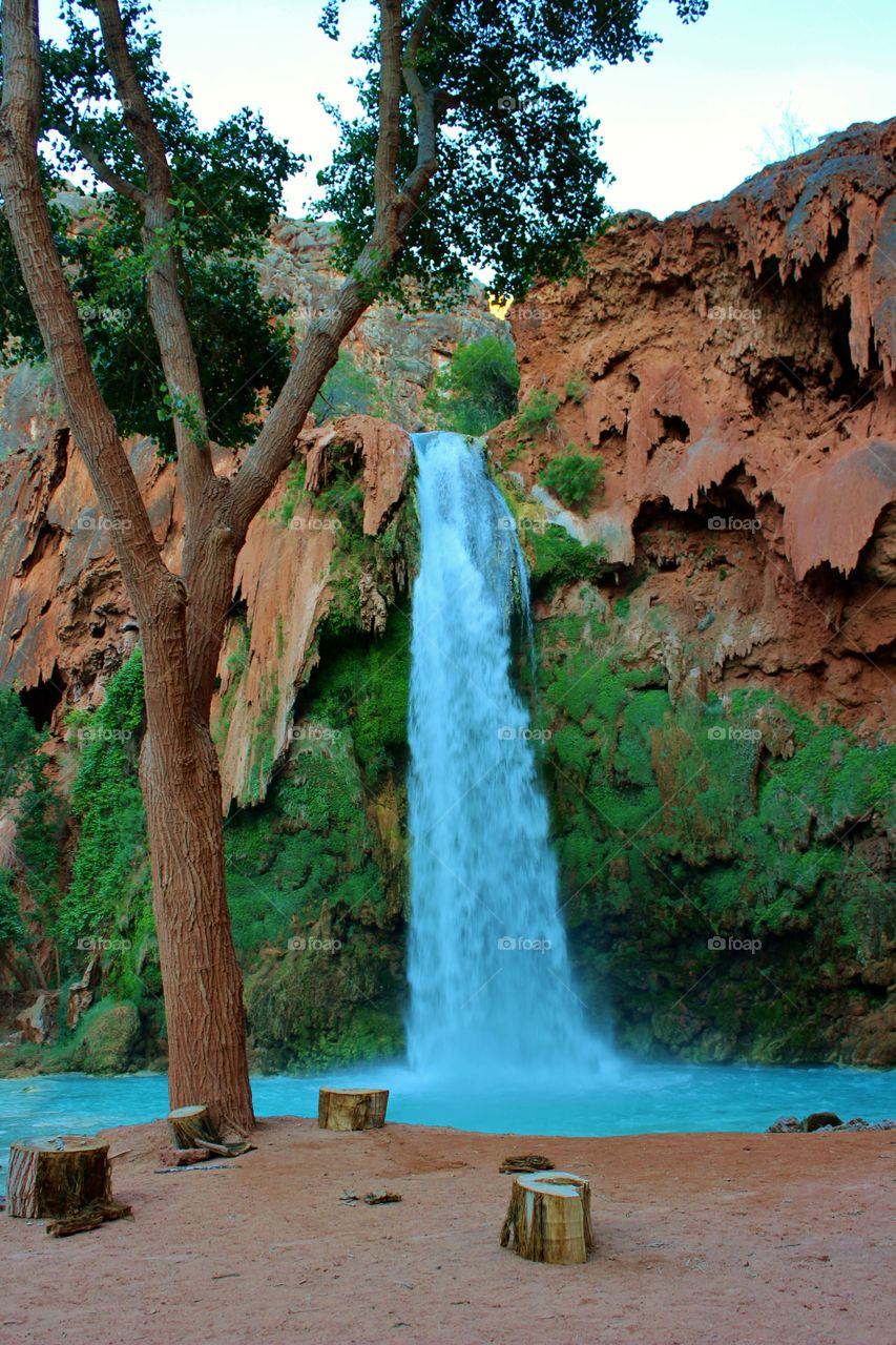 Scenic view of waterfall