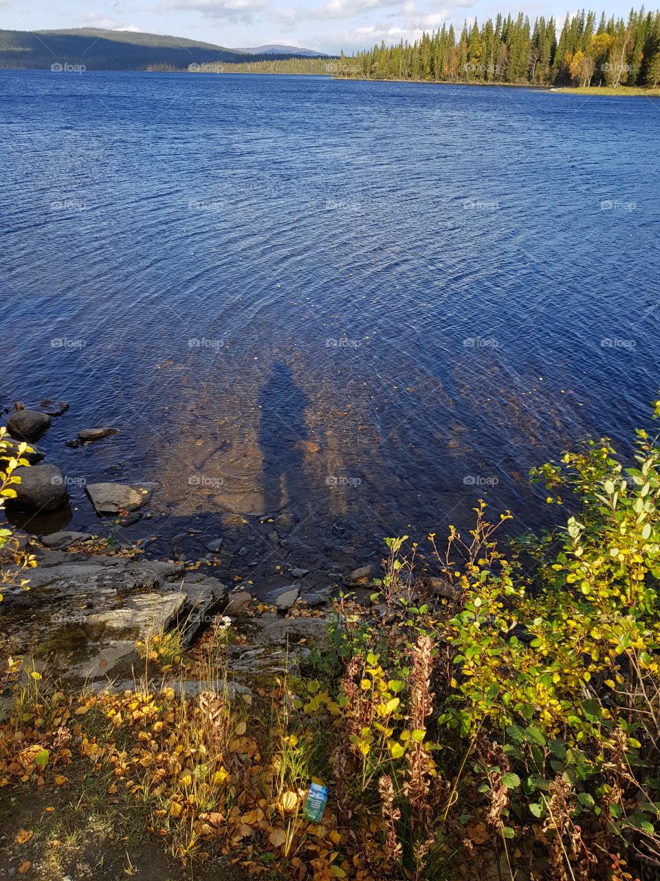 water shadow