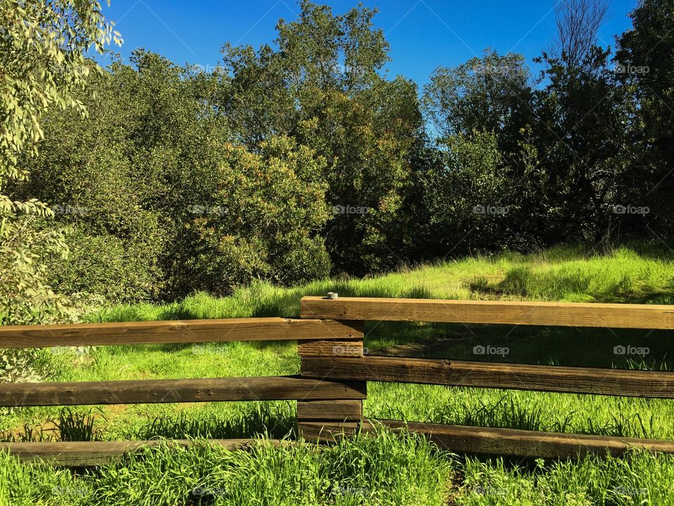 Fence in Santa Barbara 