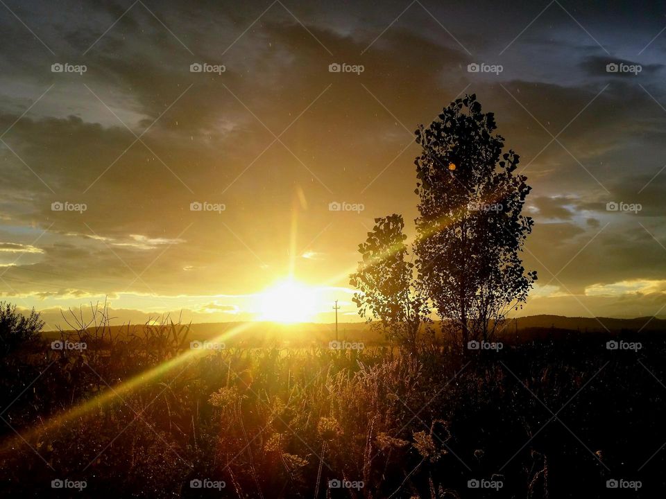 landscape after the rain