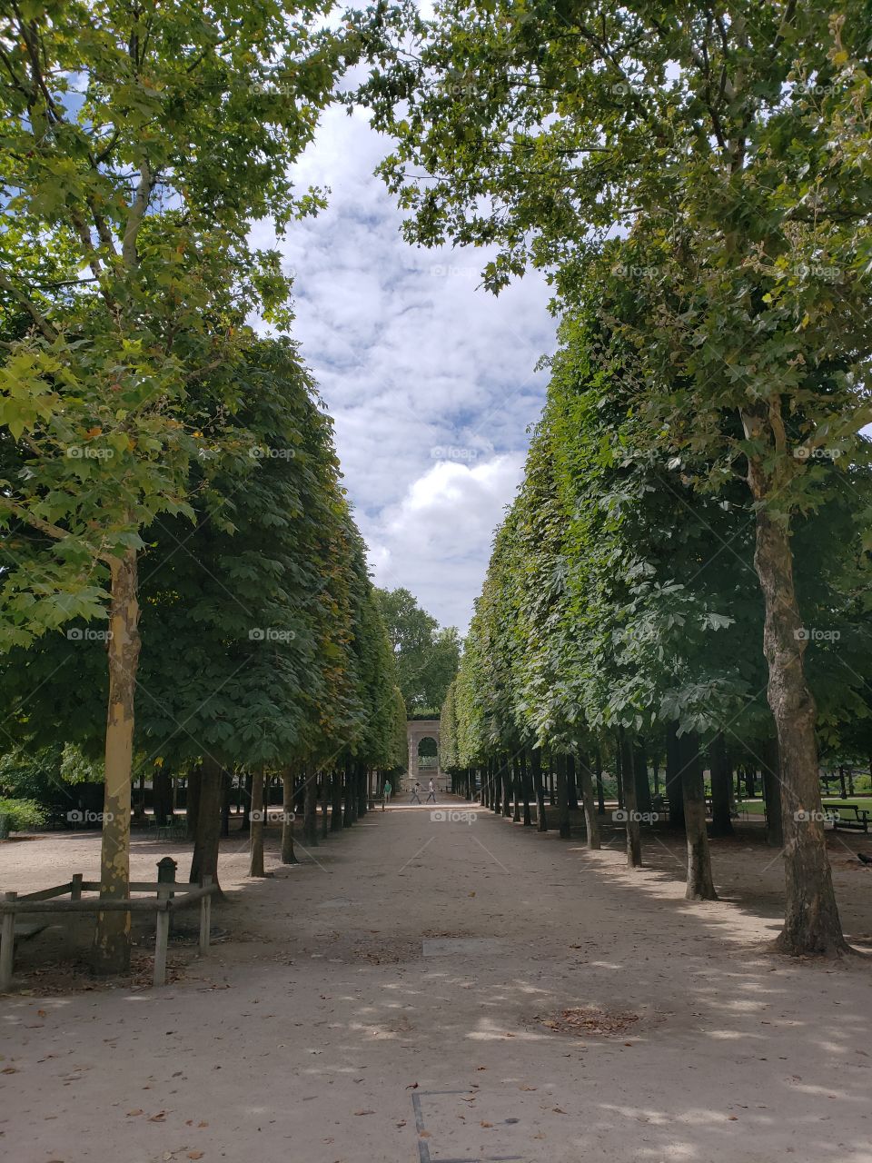 camino verde y solitario en un parque parisino