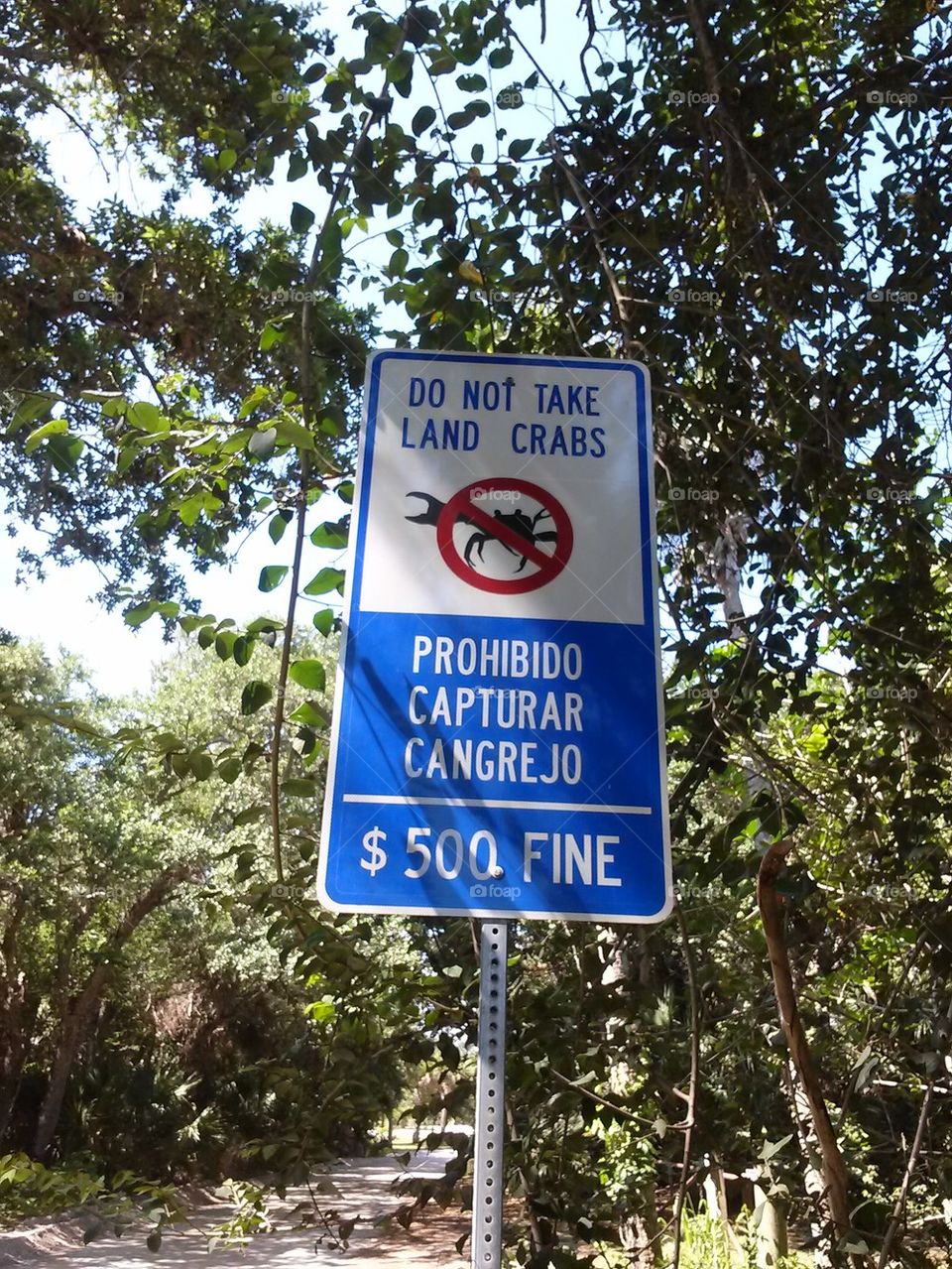 prohibited 