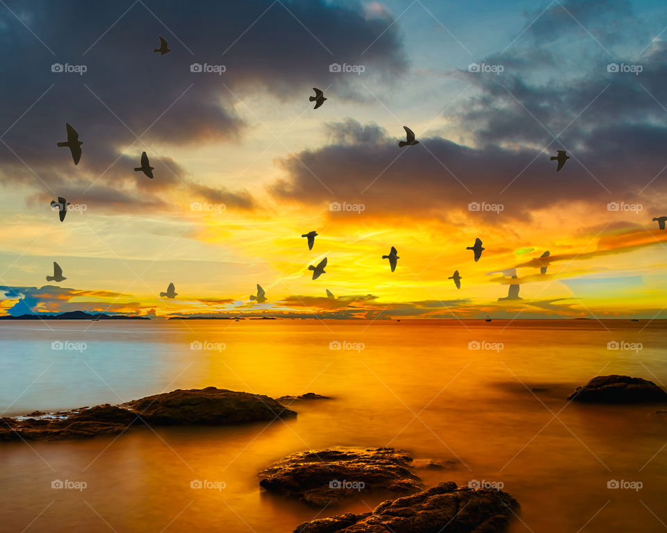 sunset over an island and birds flying...