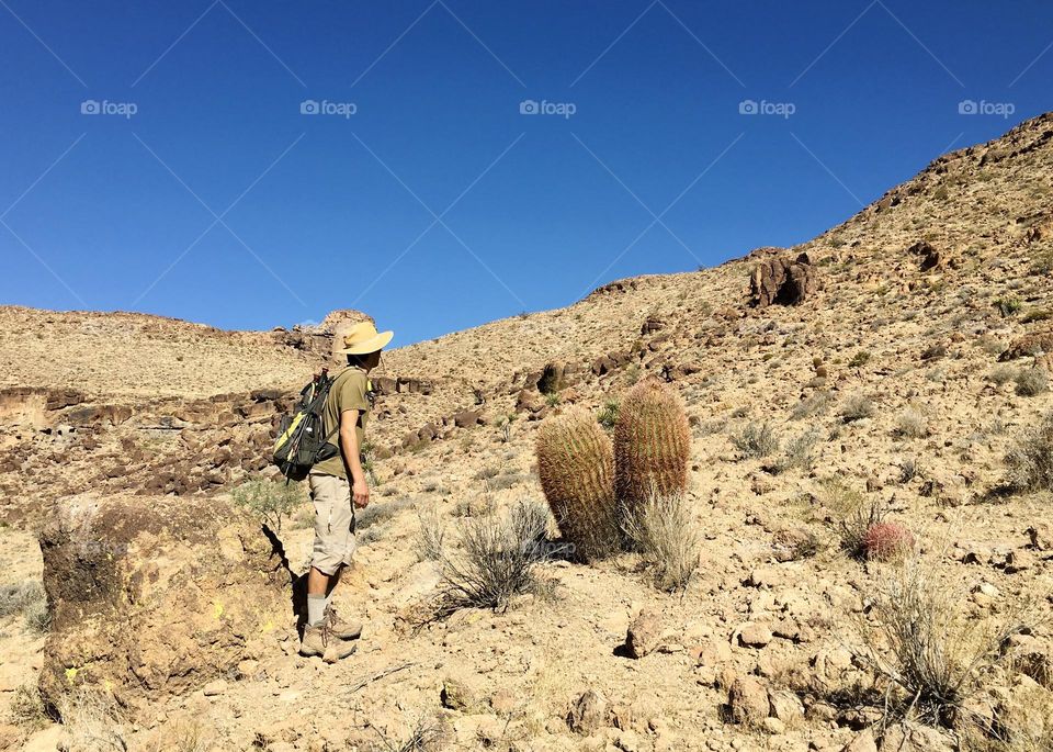 Along the long trail in Mojave