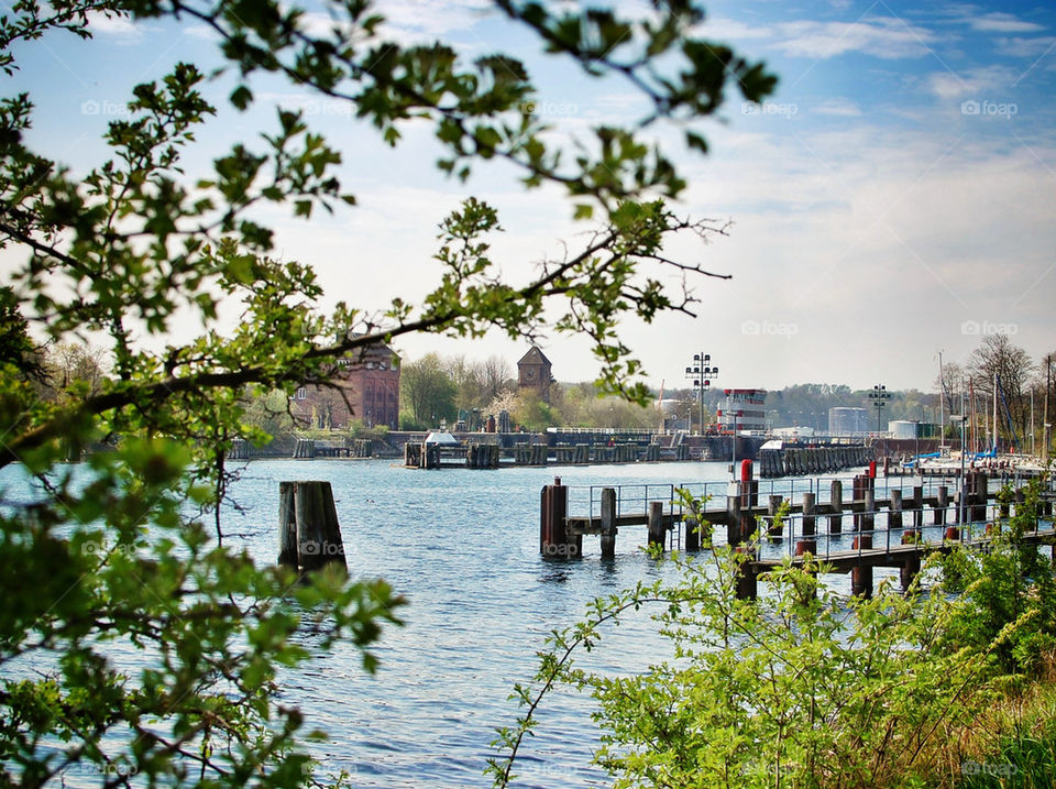 Through the branches