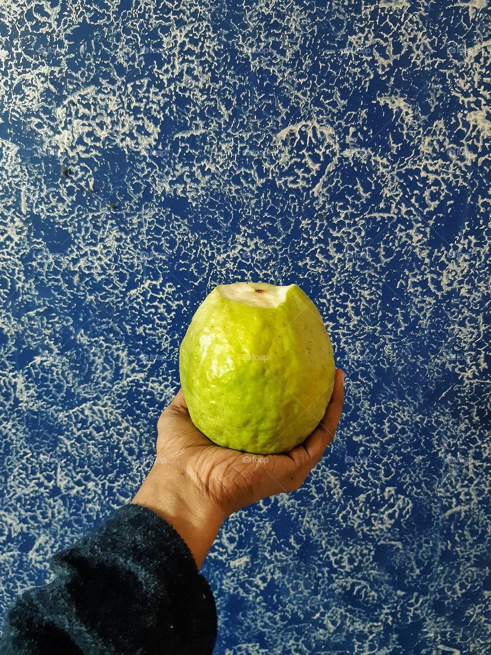 Guava the size of a coconut
