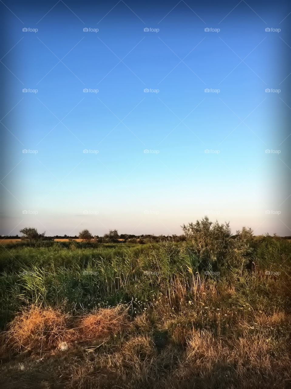 Summer, summer... Where have you gone? 🔥