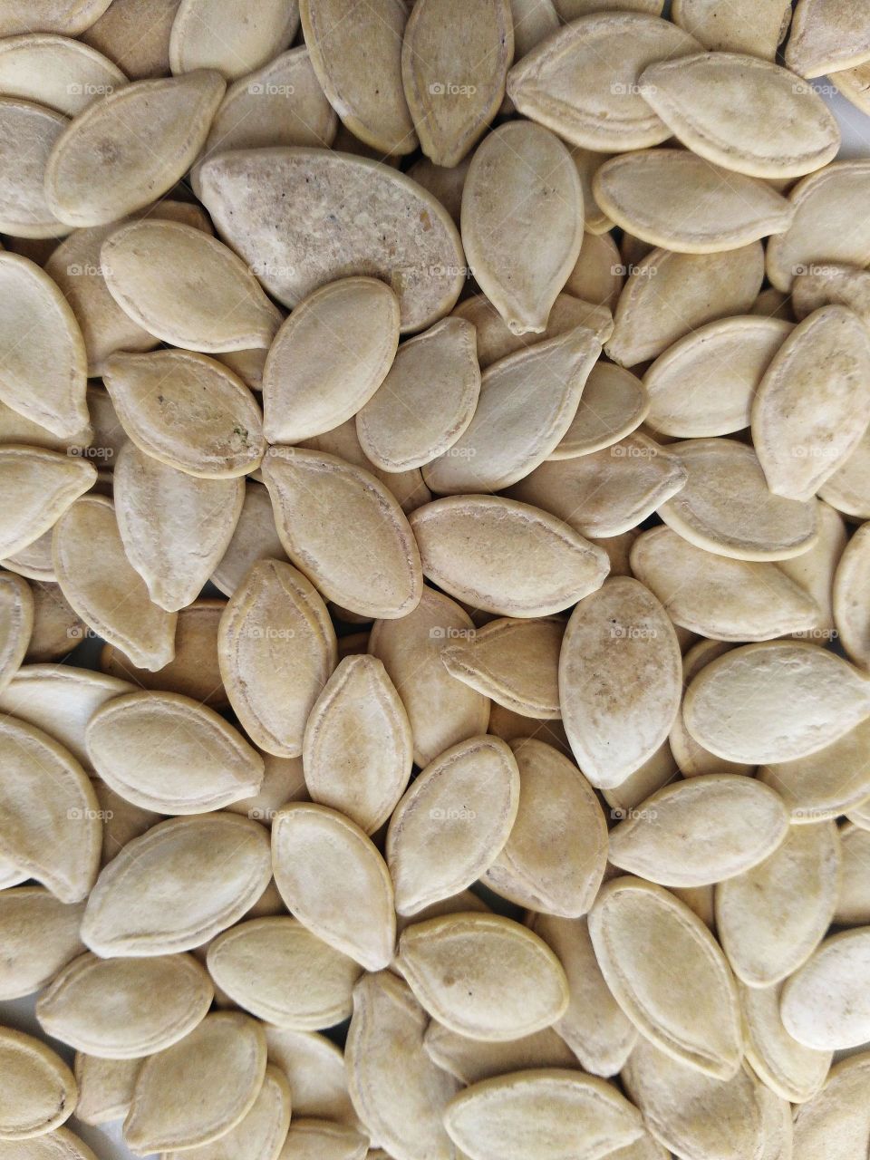 pumpkin seeds