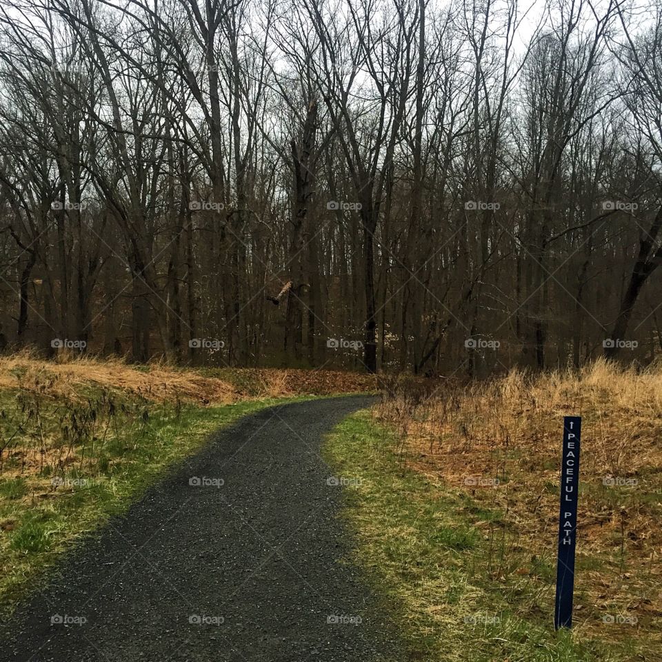 A peaceful path. 