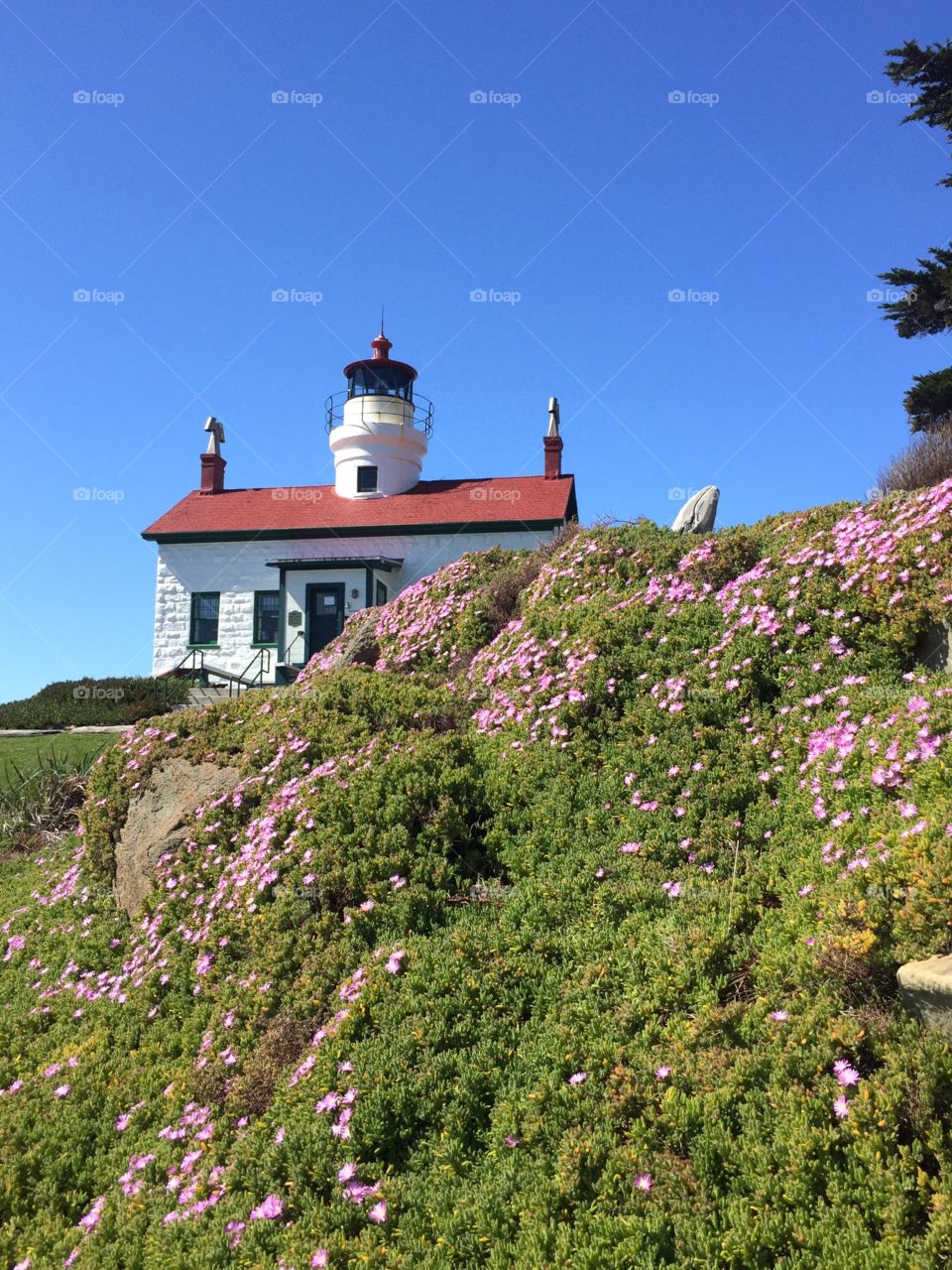 Lighthouse. Lighthouse