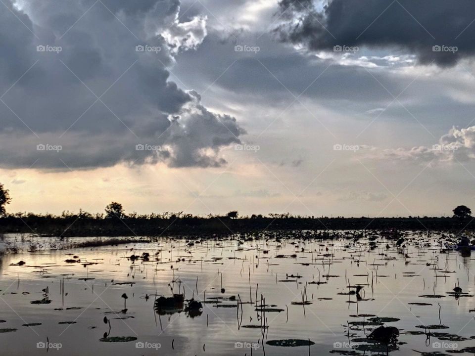 clouds and sunray over lotus Pond at Prey Veng Kandal Province Cambodia