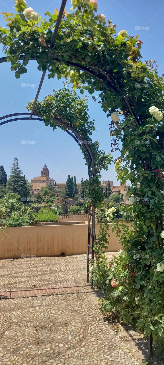 Jardín Generalife