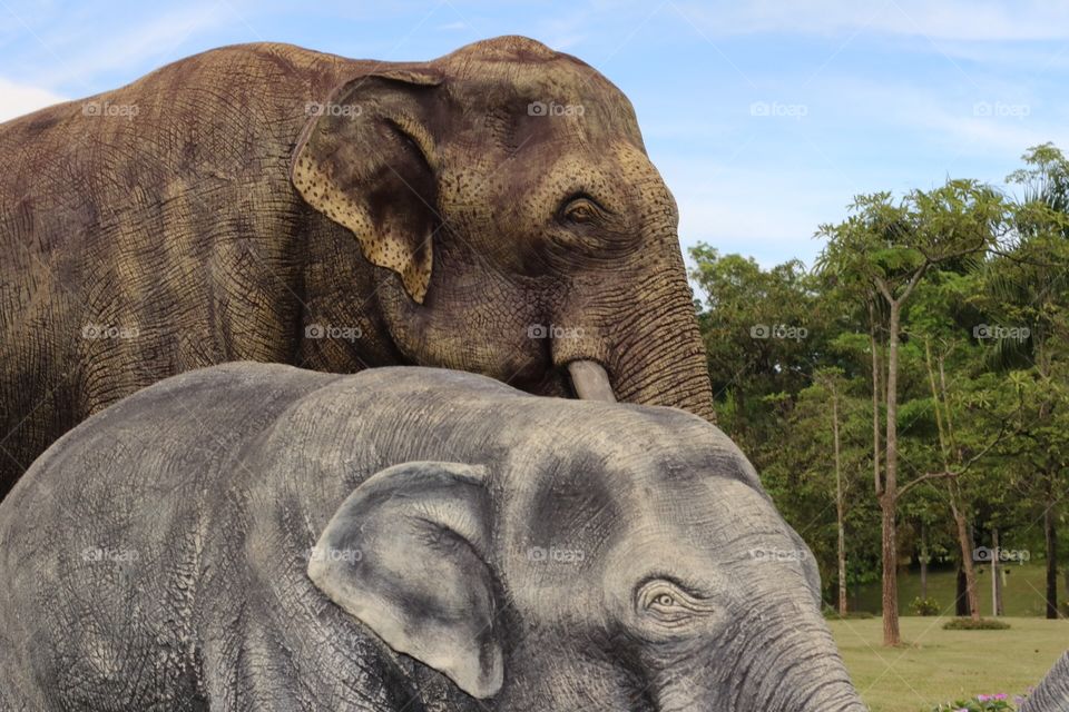 Elephant art. Elephant arts in the park