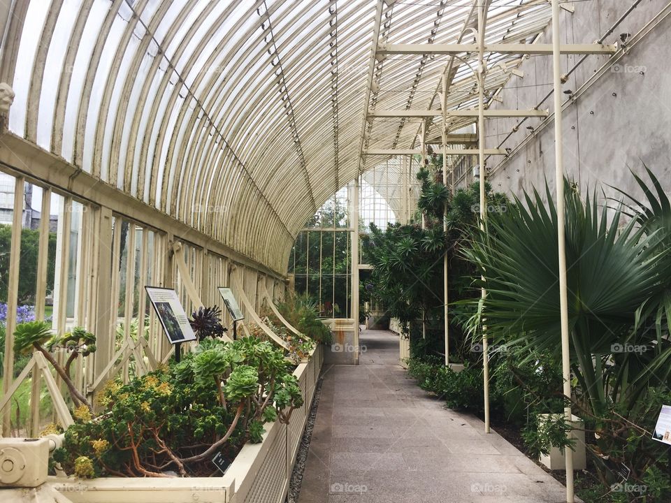 Greenhouse, Architecture, No Person, Garden, Conservatory