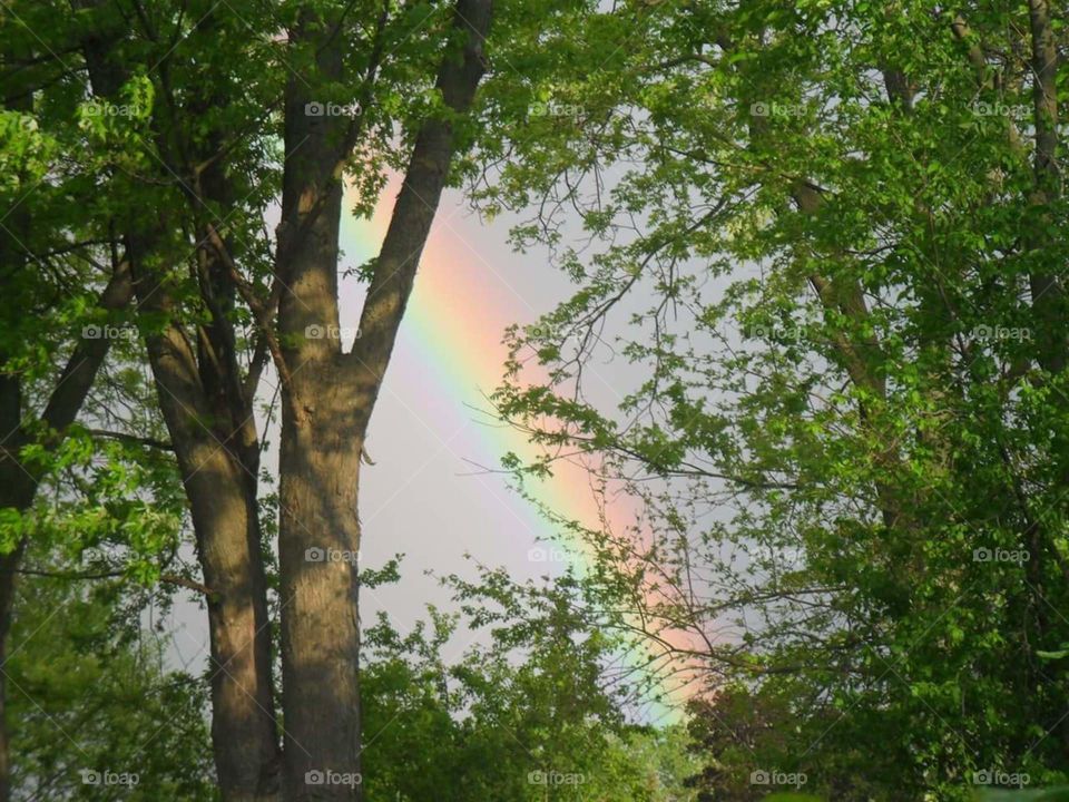Rainbow!!. I Took this in My Backyard after a Storm!