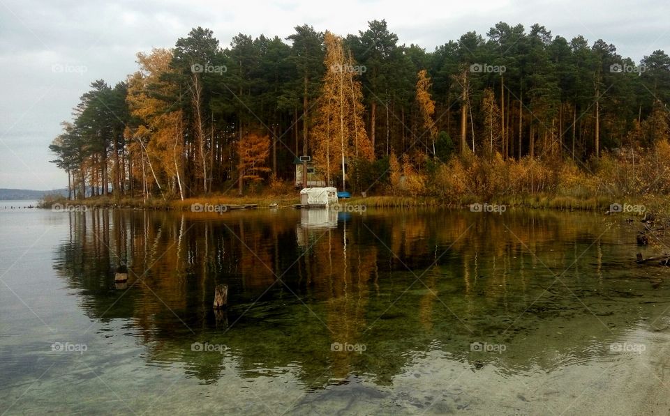 autumn lakeside landscape