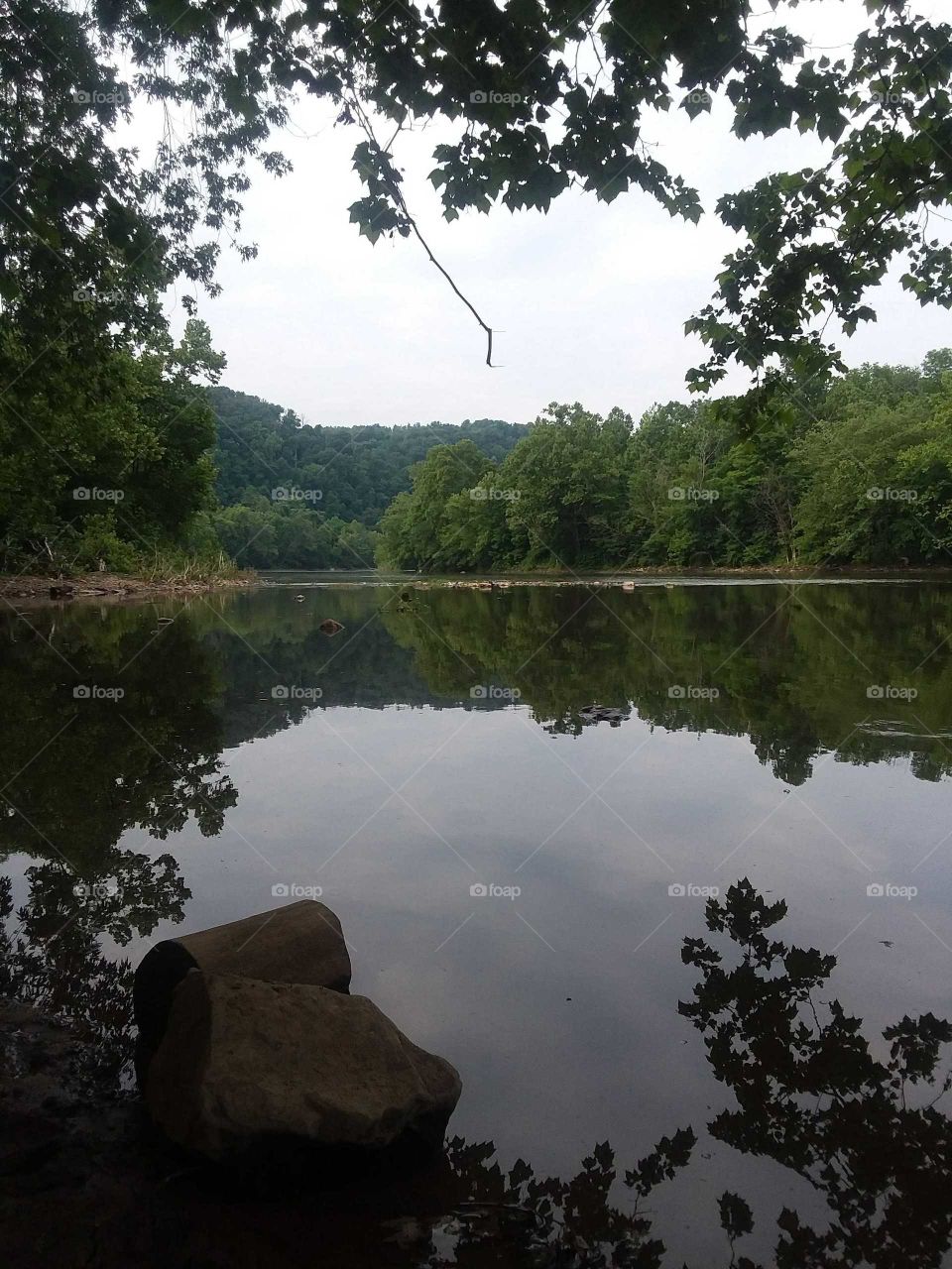 Beautiful Reflections of the Trees onto the Crisp Water