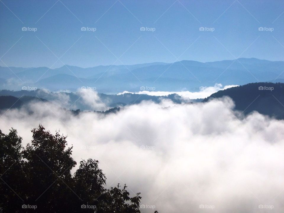 Smoky Mountain Majesty