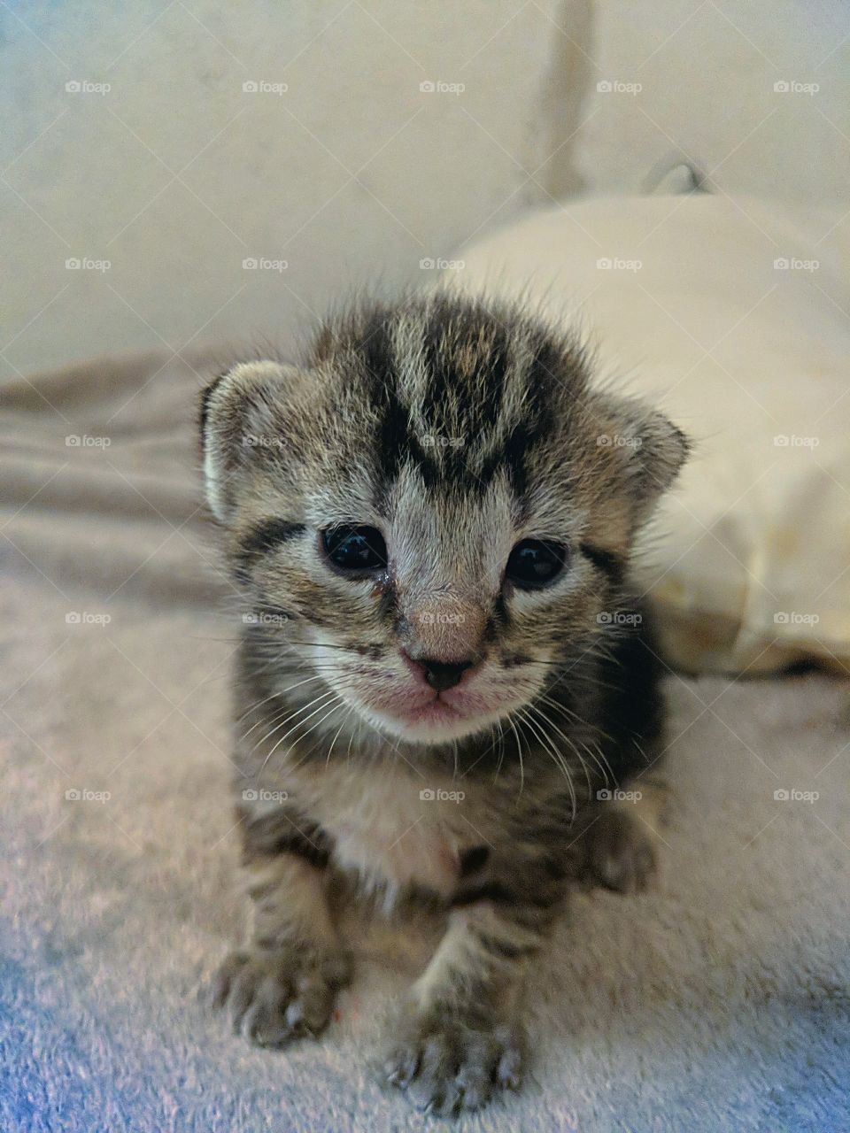 I am the cutest thing ever