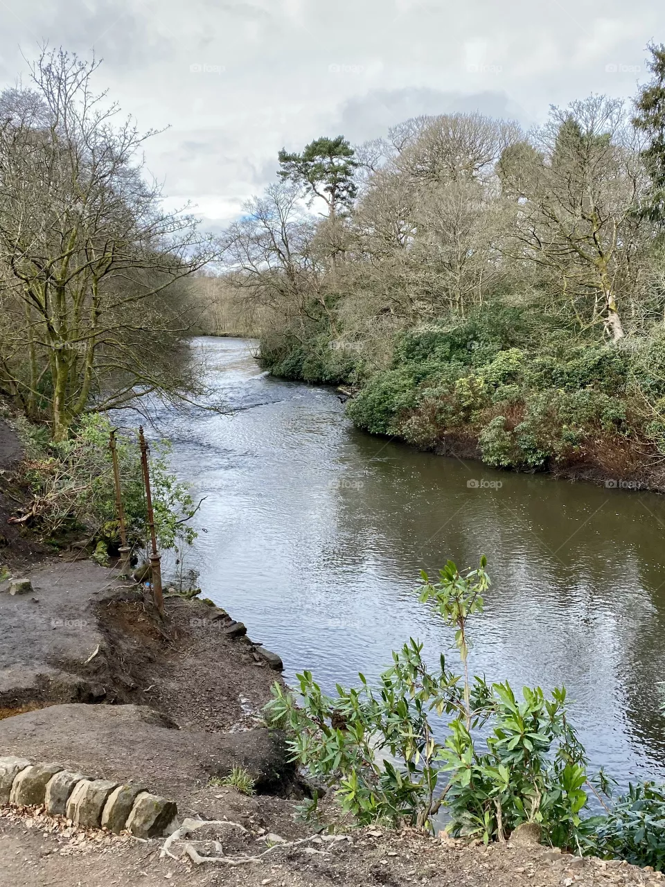 River Kelvin Glasgow Water scenery 