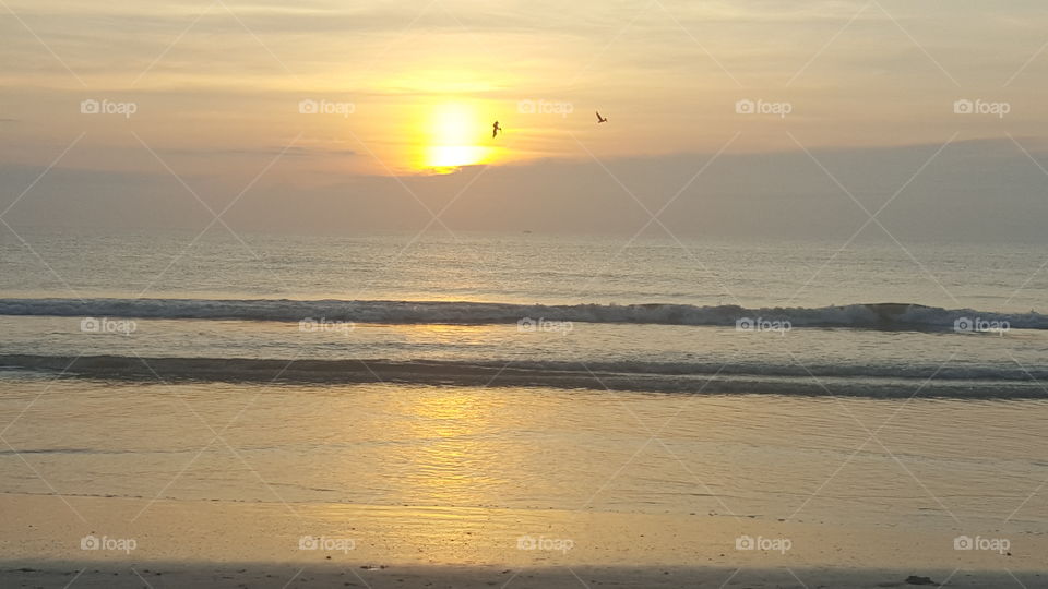 Sunset, Water, Dawn, Beach, Sea