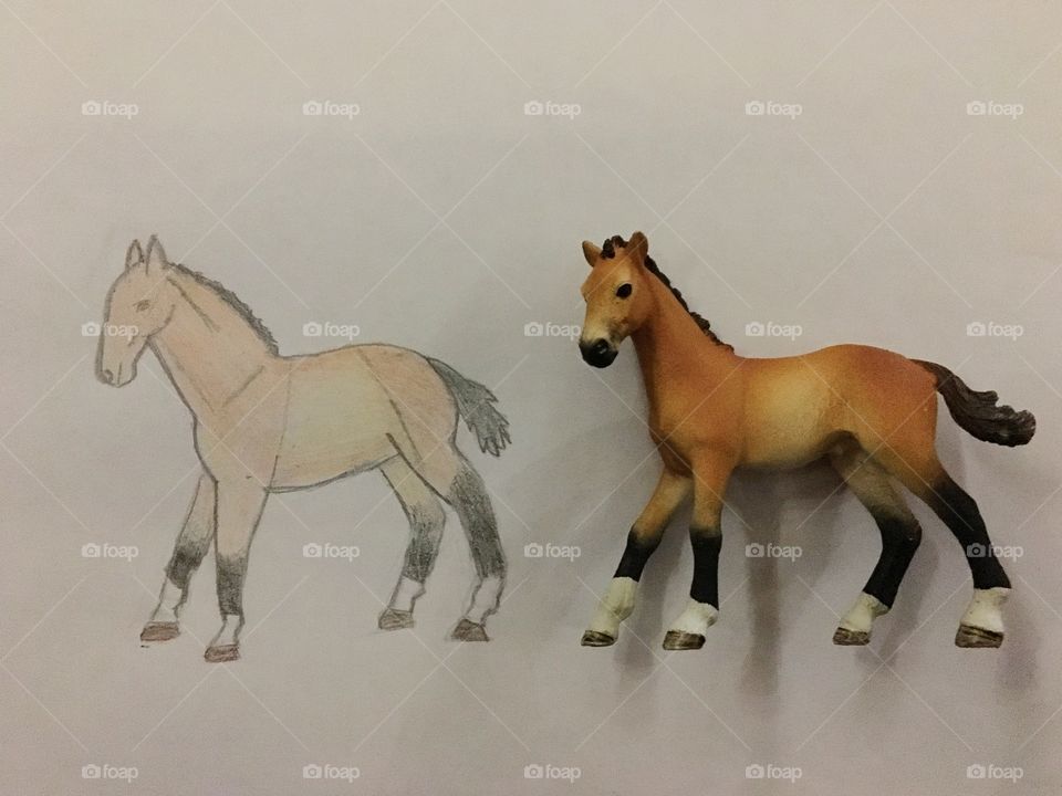 Horse drawing