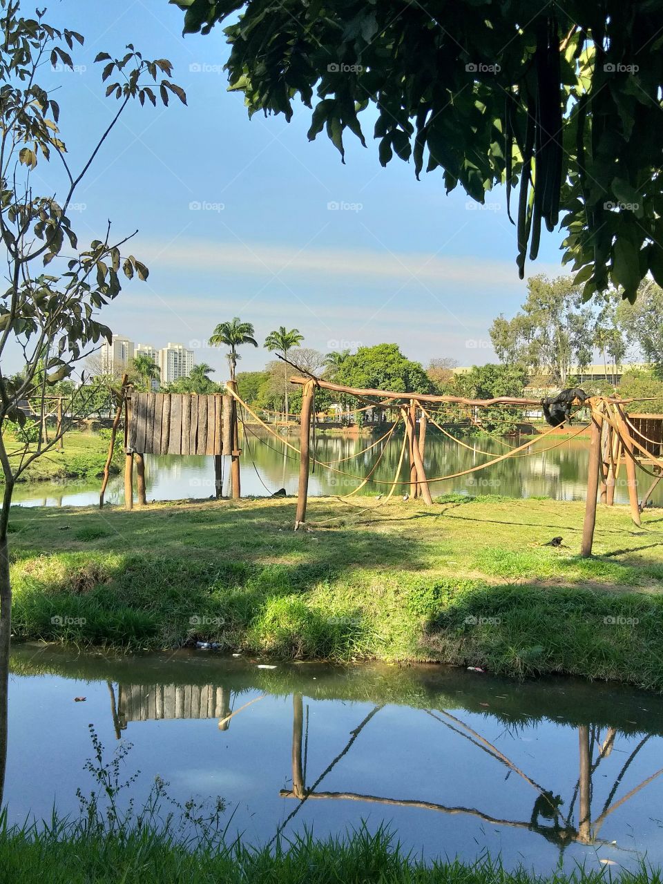 And under a cool shade, I saw a beautiful blue sky with a river showing the green of the trees.