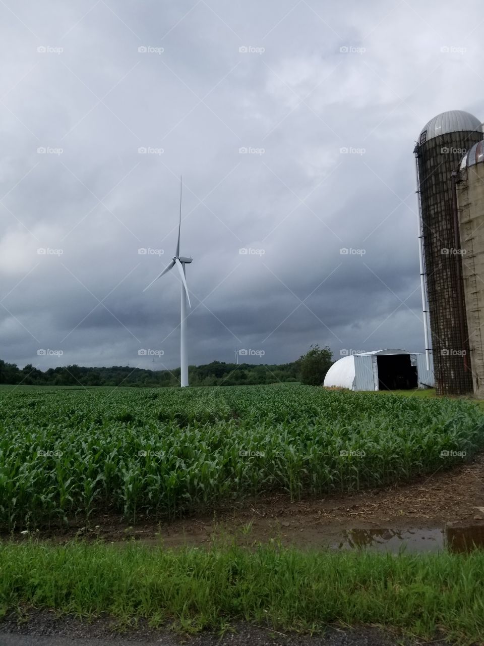 Agriculture, Landscape, Farm, Grinder, Windmill
