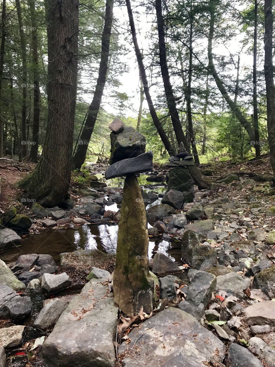 Balance in Nature