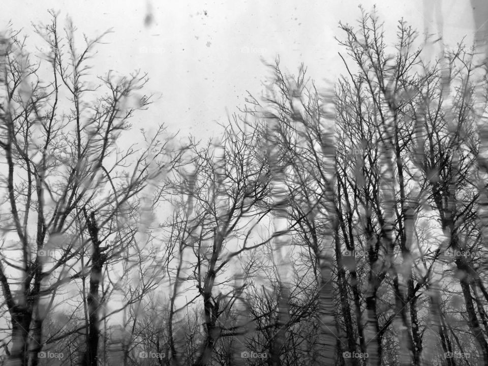 Bad Weather. It's been a wet spring.