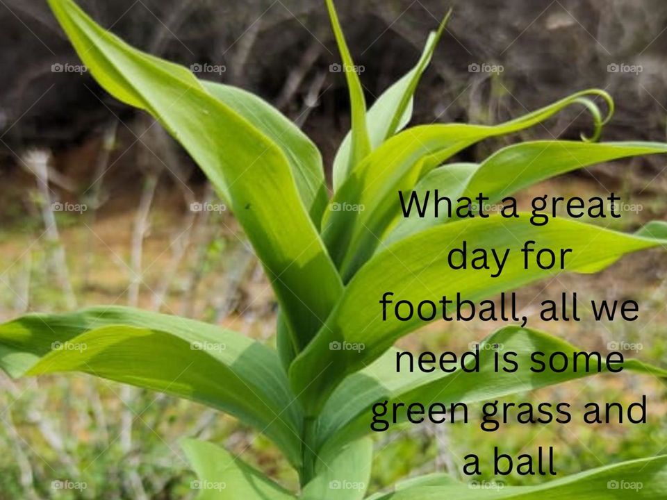 grass on fresh