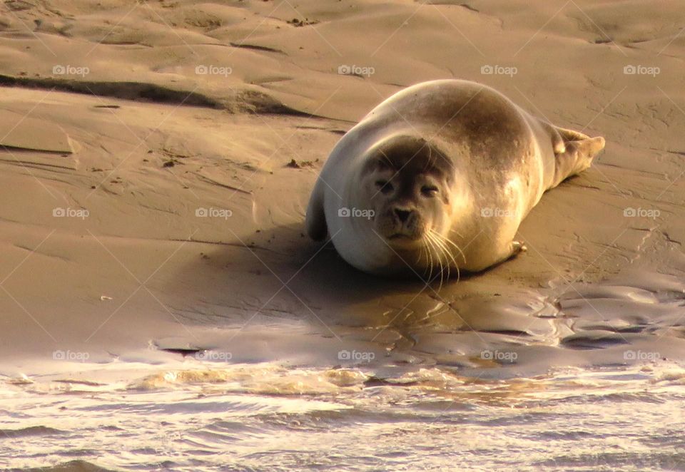 On the beach