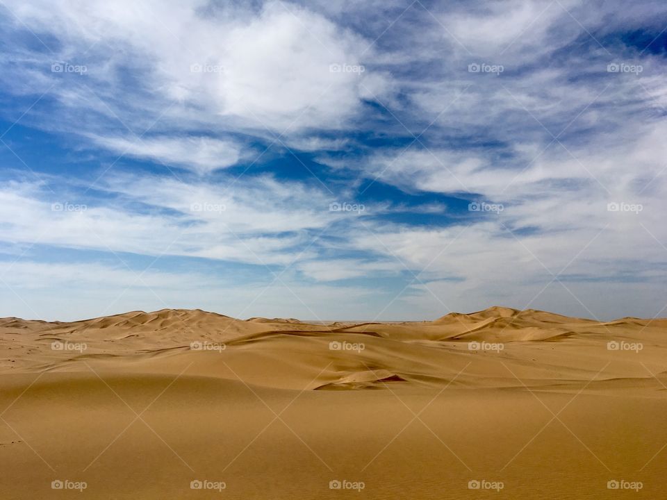 Dunes of the Kalahari Desert.