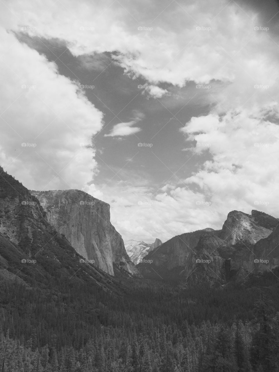 Black and white shot of Half Dome over valley, Yosemite National Park, California