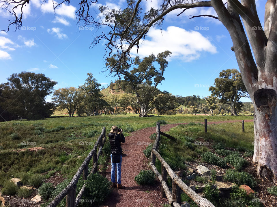 Blonde female FOAP photographer (me) photographing wildlife in south Australia Flinders Ranges area, back view 