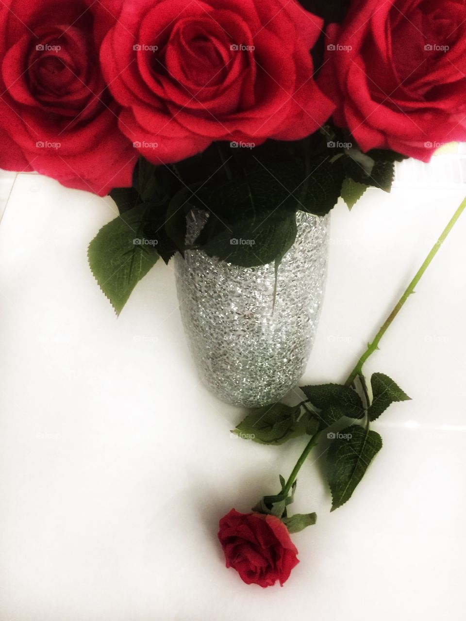 Silver studded case of red roses with one on white foreground 
