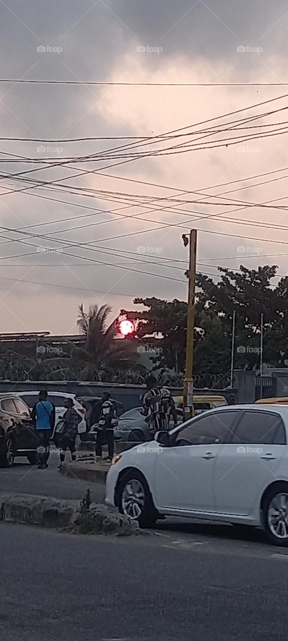 Beautiful Sunset over palm trees, natural greenery