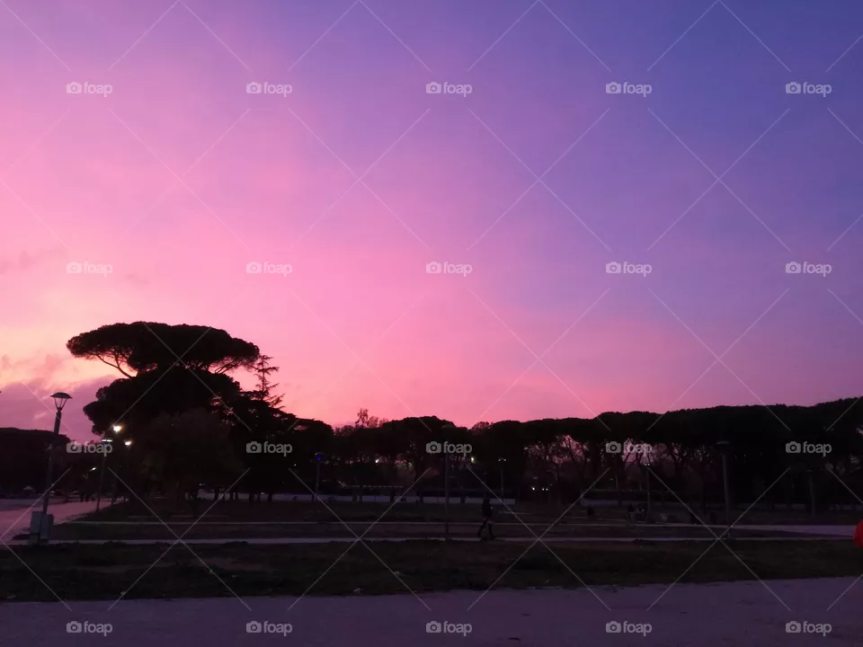 sun