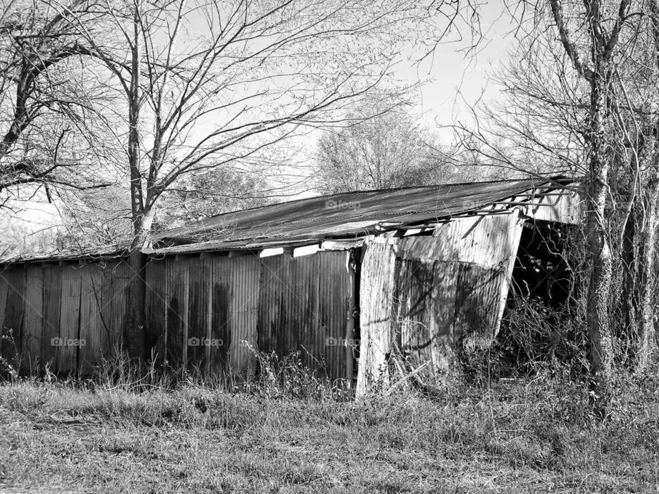 Old barn