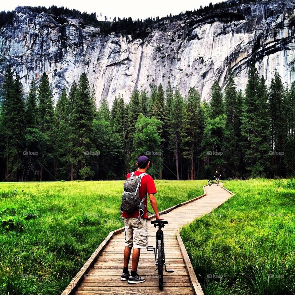 Yosemite Meadow