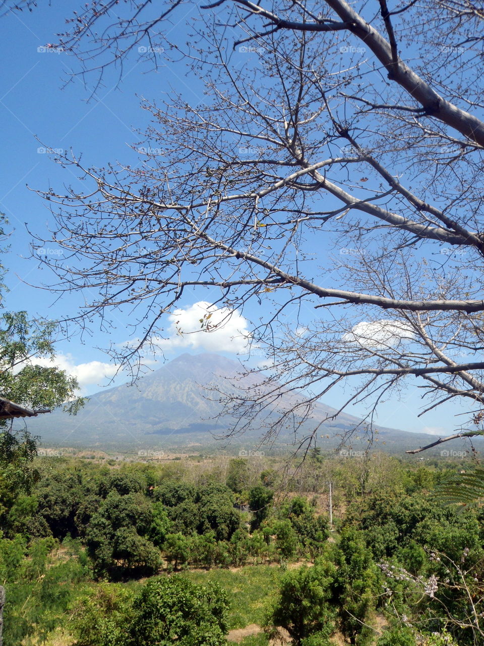 Mount Kintamani . Bali Indonesia 