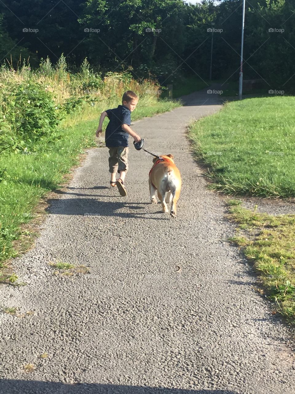 Child walking dog